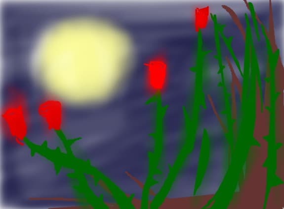 no ideea...darkness
