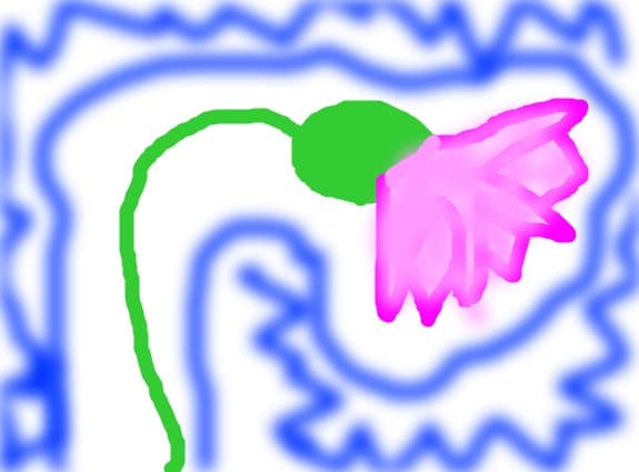 floricica