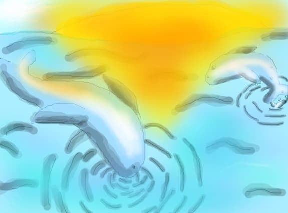delfini (concurs flory)