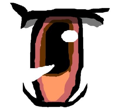 eyes