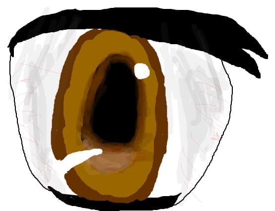 eye