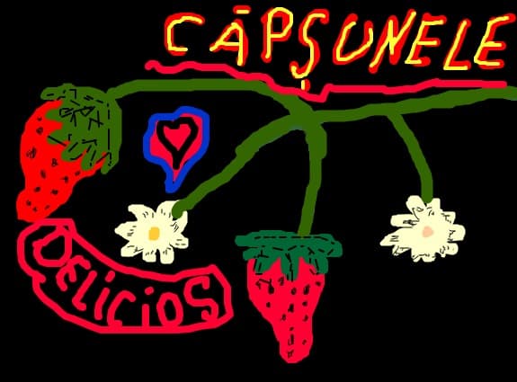 Capsiuni