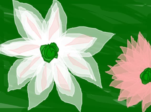 2 flowers