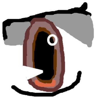 ochi
