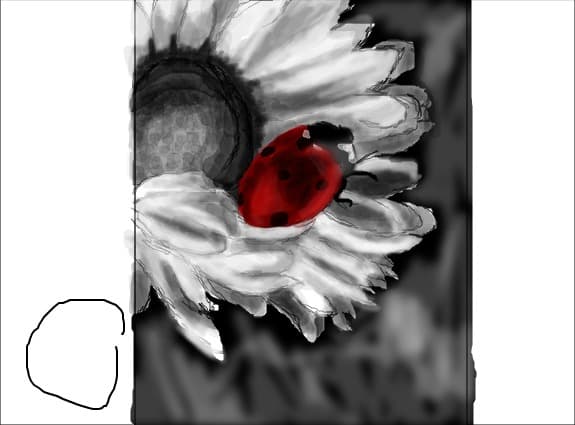 ~~~...o buburuza pe o floare....~~~