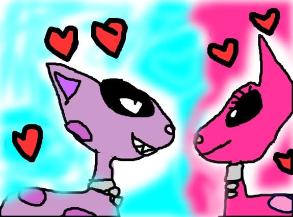 mr kat si msr kity=love