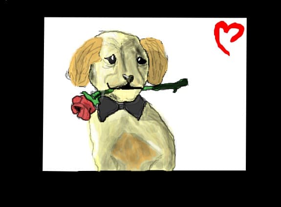 dogs love