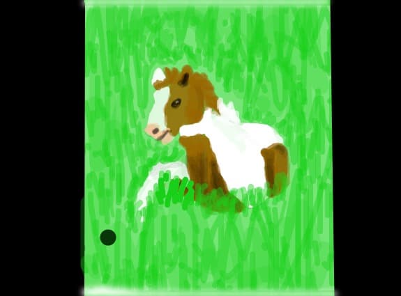 ponei