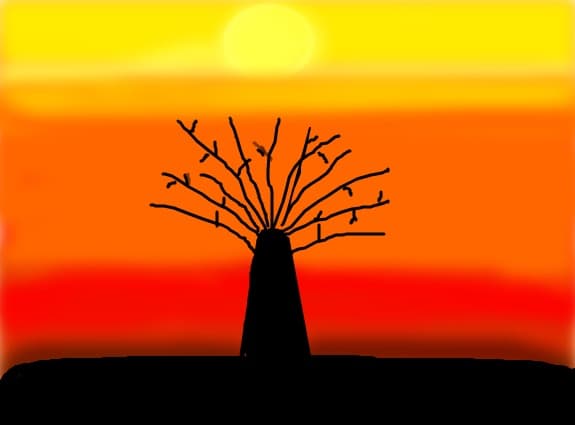 sunset
