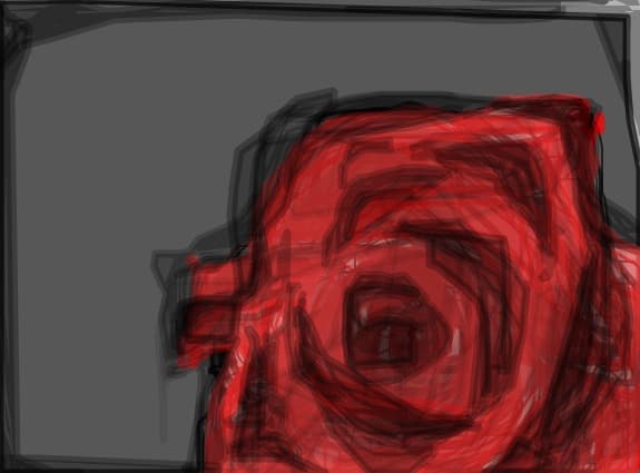 rose trandafir