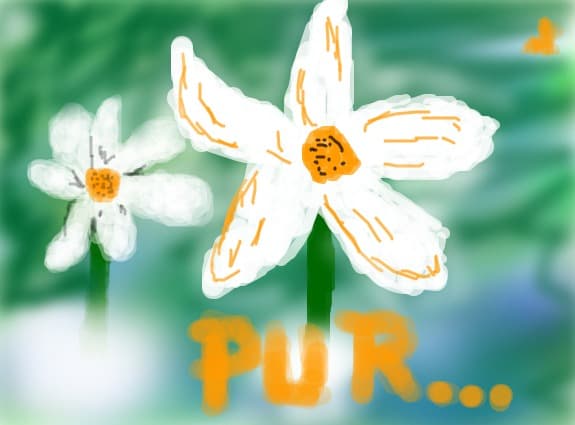 puritate