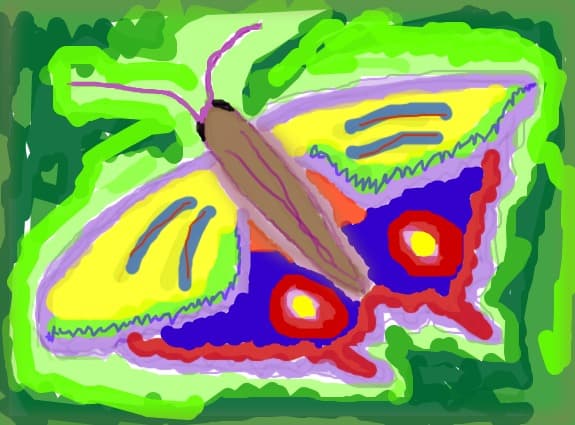 Fluture pt conc