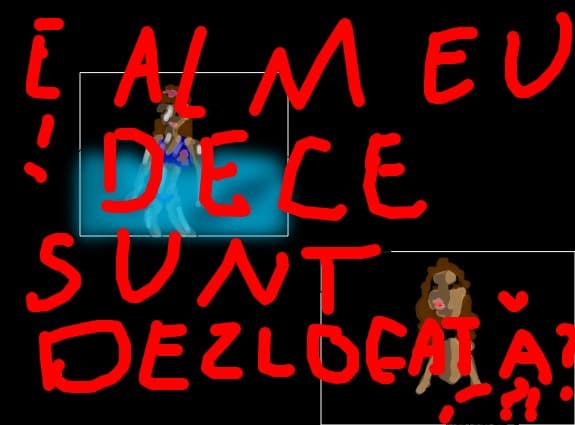 Desen 90761 modificat:E AL MEU