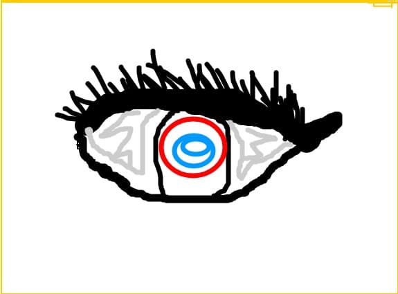 ochi
