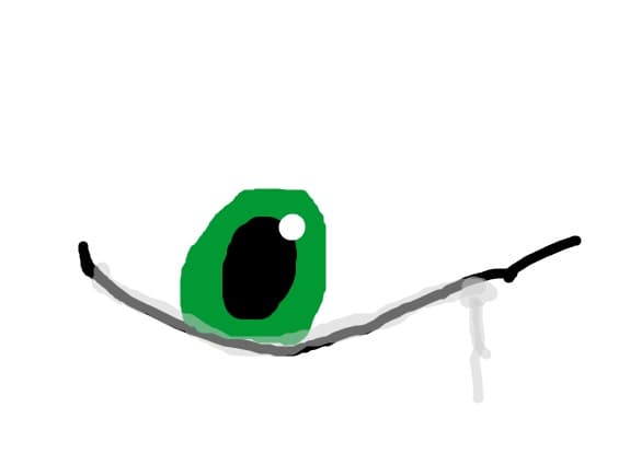 eyes