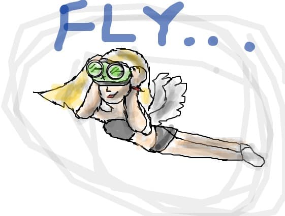 fly