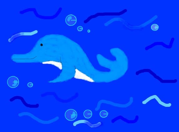 Poza 1 - Delfin