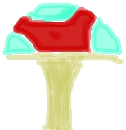 Ciuperca