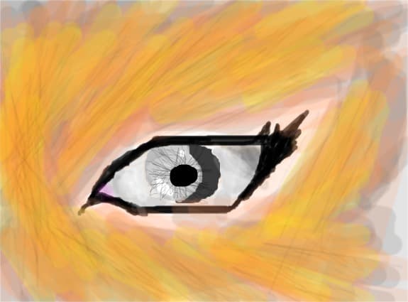 eye....
