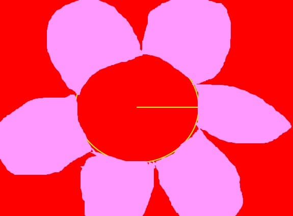 din balconul meu...floricik