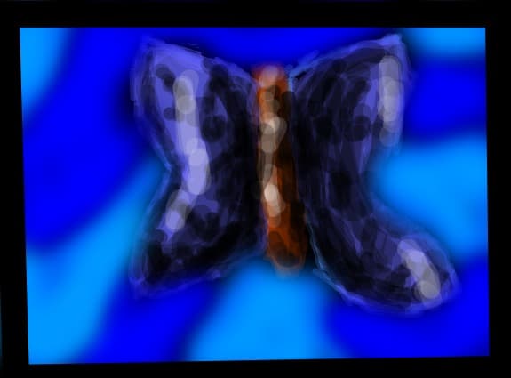 a blue butterfly