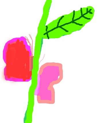 fluturi