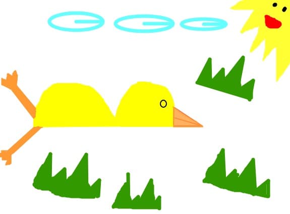 Pui turtit