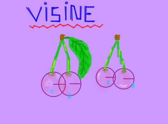 ,,Visine\'\'