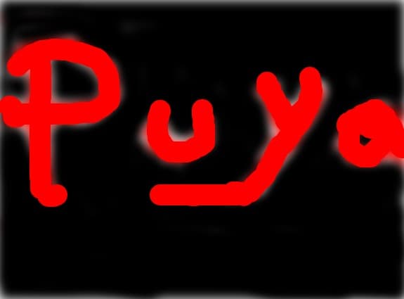 Puya