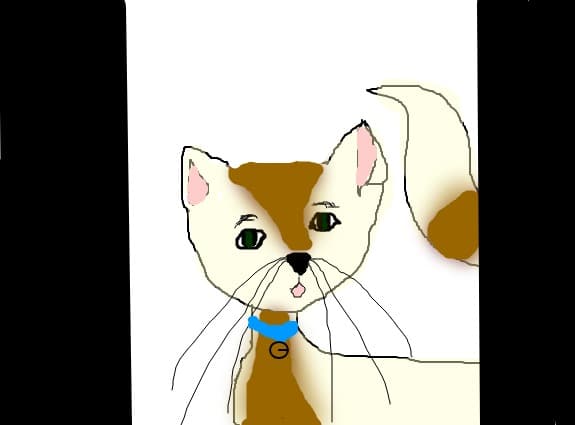 my cat 22