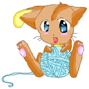 The Anime Kity