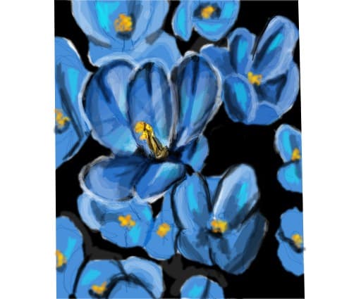 floricele pentru fiecare:)