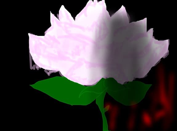 rosedark or sweet