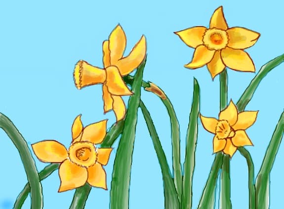Desen 45463 modificat:floricele