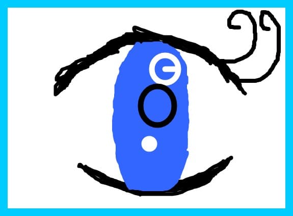 Ochi