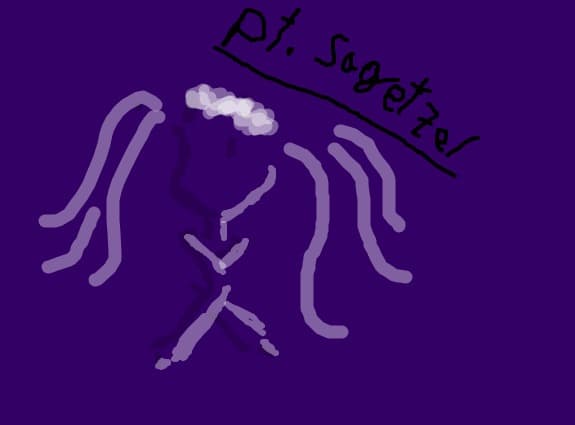 pt sagerzel