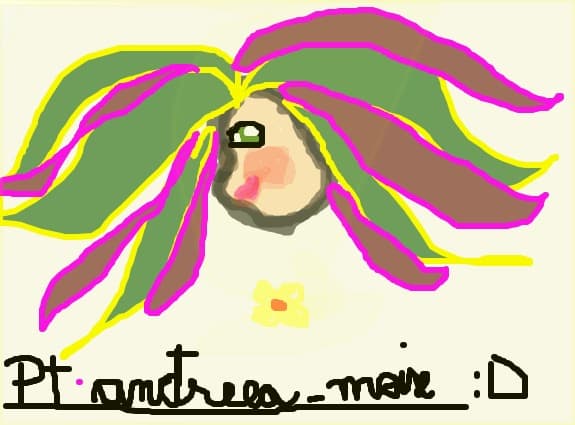 PT andreea moise
