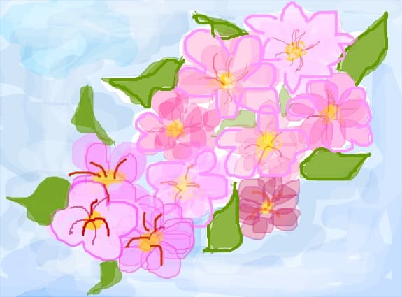 Flori