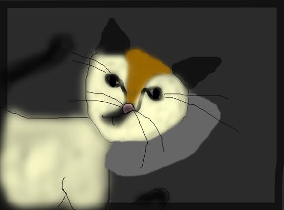 cat2