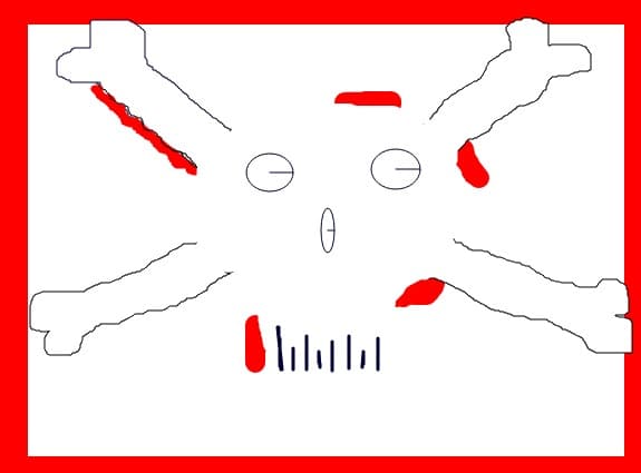 Craniu