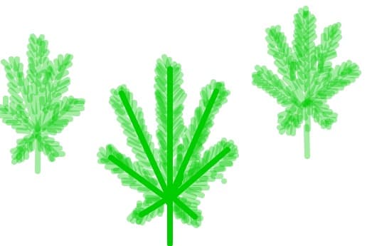 mariujuana