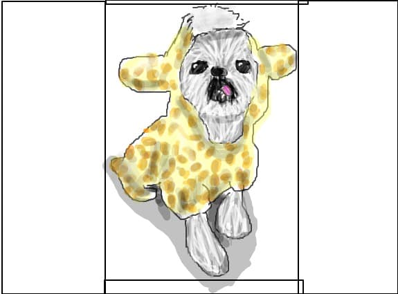 cutzu