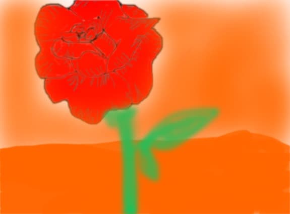 Desert Rose
