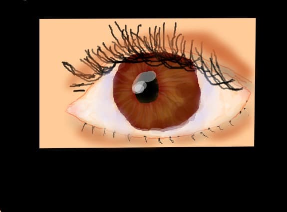 Eye