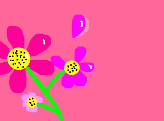 o floare
