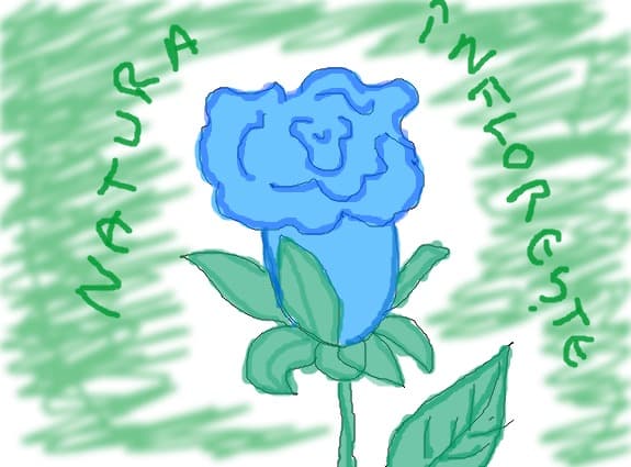 natura infloreste