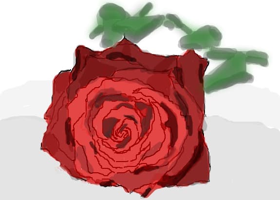 rose
