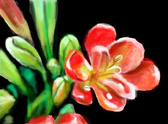 ofer o floricik tuturor celor care mi-au dedicat desene
