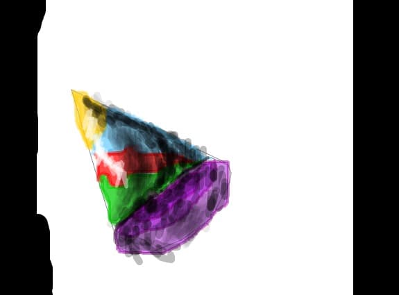 happy birthday Pisik!