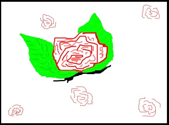 trandafiri